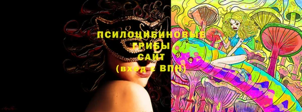 герыч Алексин