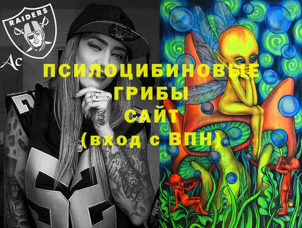 первитин Алексеевка