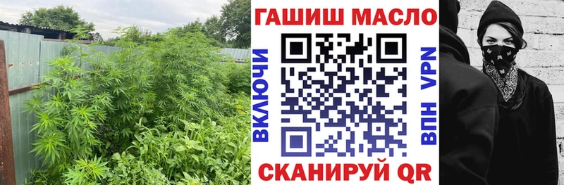 ТГК THC oil  KRAKEN tor  Киреевск 