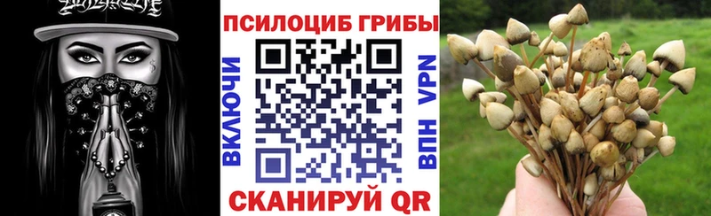 цены мега ссылки дарк нет телеграм Киреевск Галлюциногенные грибы Magic Shrooms