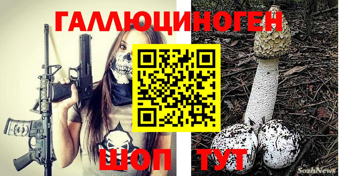 Галлюциногенные грибы GOLDEN TEACHER Киреевск