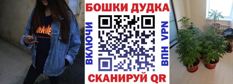 Конопля SATIVA & INDICA  Киреевск 